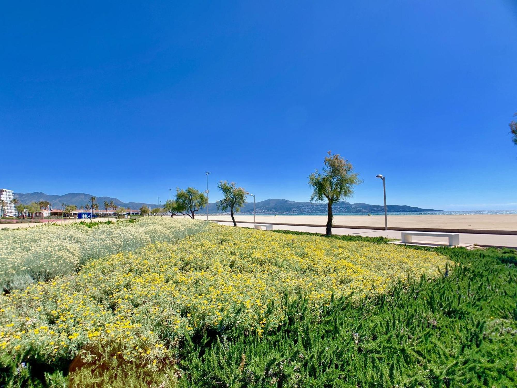 Apartment Vista Bahia 23 -4 Sea View 艾姆布里亚布拉瓦 外观 照片